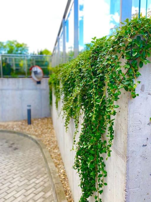 Smart Art :) Z Bezplatnym Parkingiem Podziemnym Apartment Kielce Luaran gambar